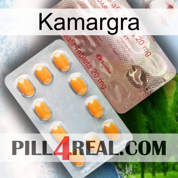 Kamargra new13.jpg